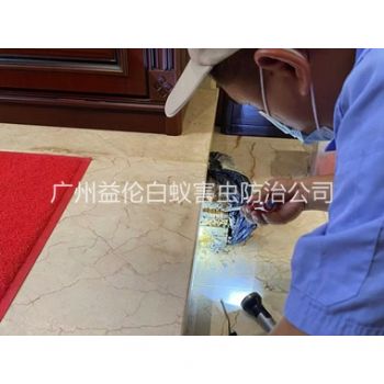 天河房屋白蚁诱杀工程
